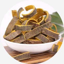 Phellodendron chinense Schneid